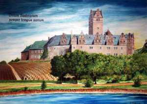 Weingarten am Schloss Pl&ouml;tzkau